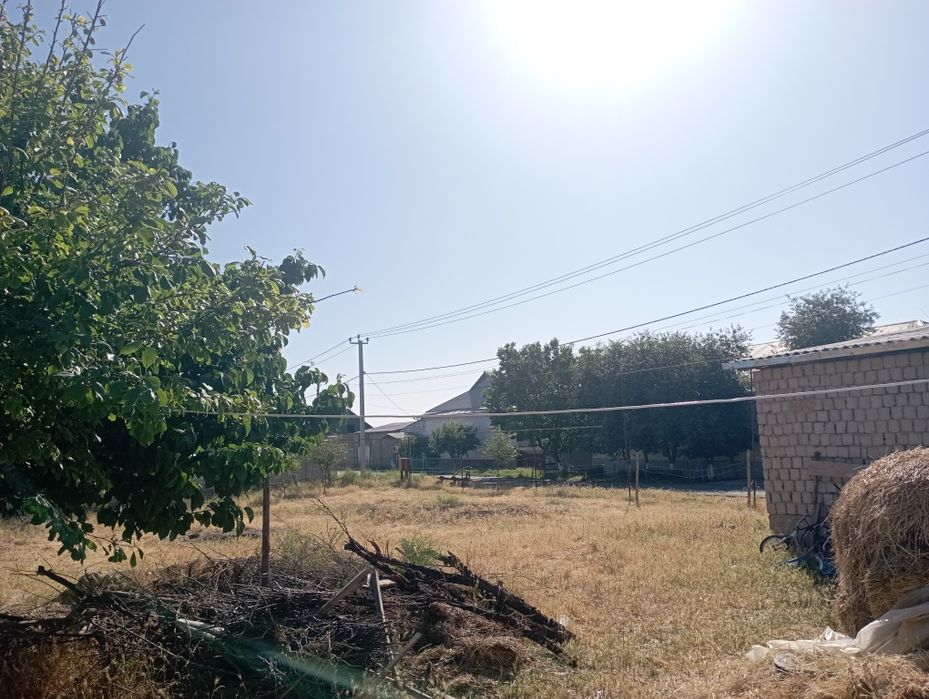 Срочна сатылады багасы келсымды