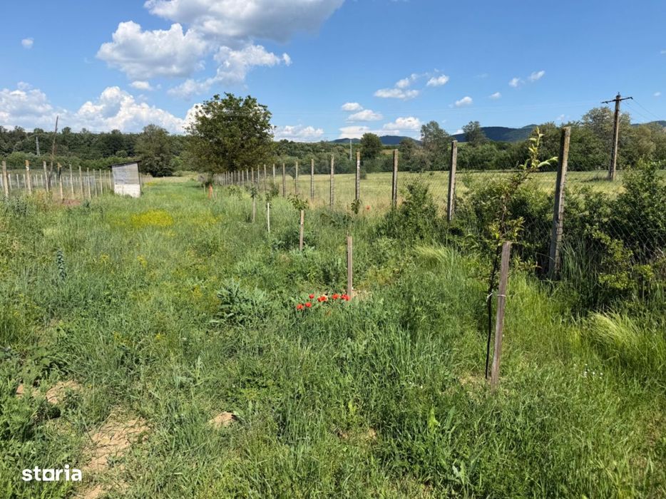 Teren intravilan, 2300mp - Vinerea ( Cugir )