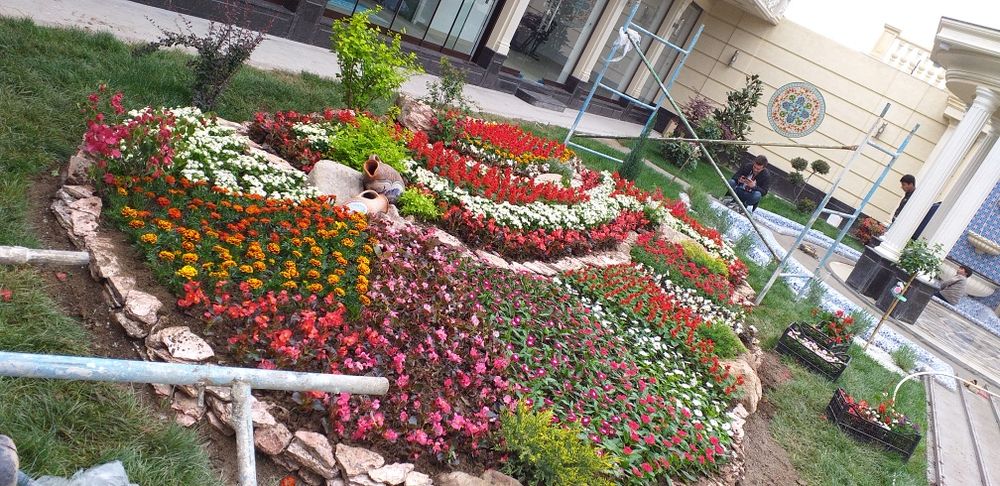 Озеленение, уход, газон, удобрение, посадка, автополив.