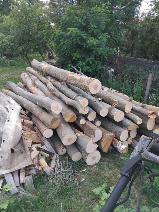 Lemn de foc FAG carpen sau stejar