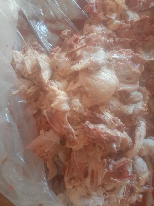 Куриные отходы для собак