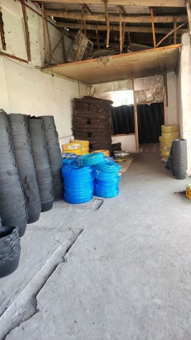 Panda tog'ora qora va rangli