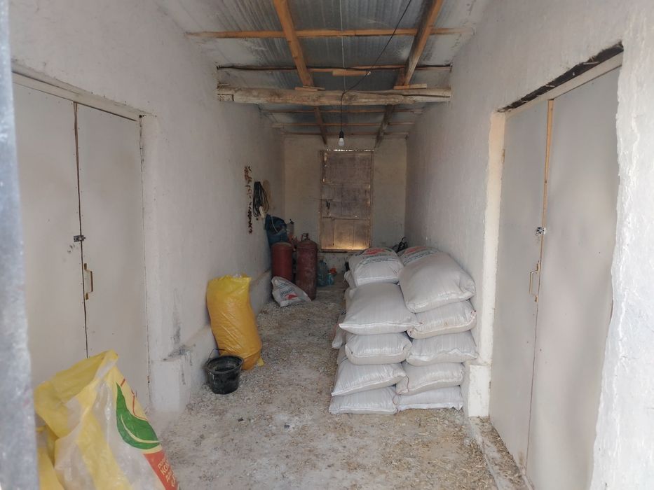 Таййор база безнеслари билан