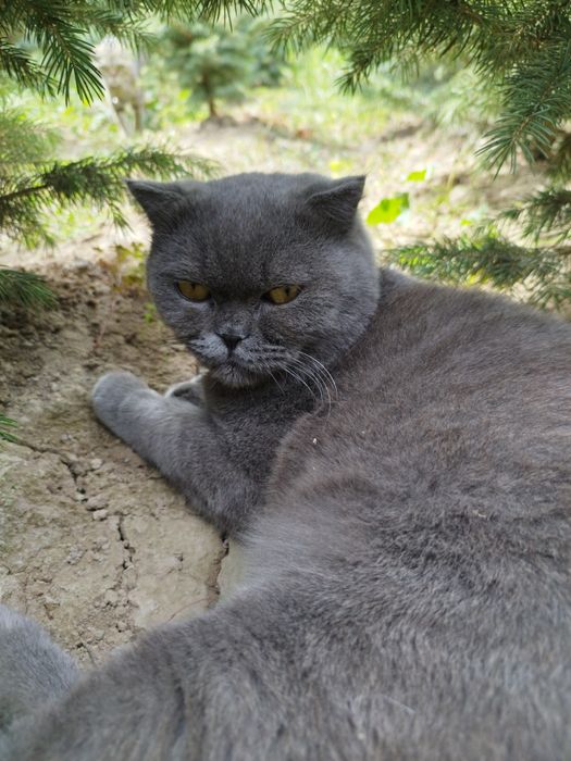 Vyazkaga qoshishga sotilmidi ‼️klient bolasidan beradi