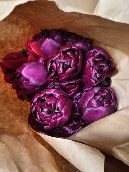 тюльпаны акция! От 140 до 400тг