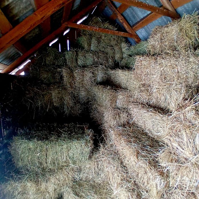 Vând baloți  de fân