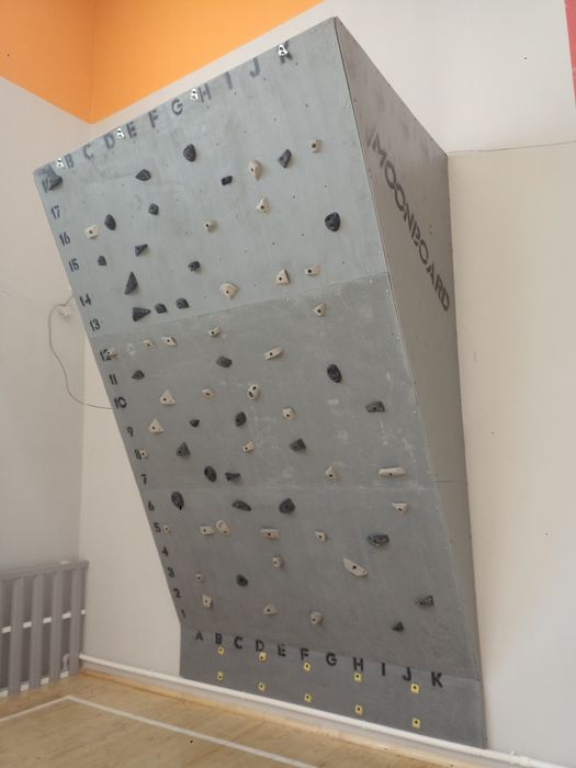 Зацепы для скалодромов