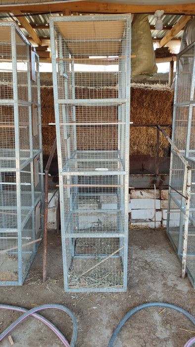 Кафас кушлар учун