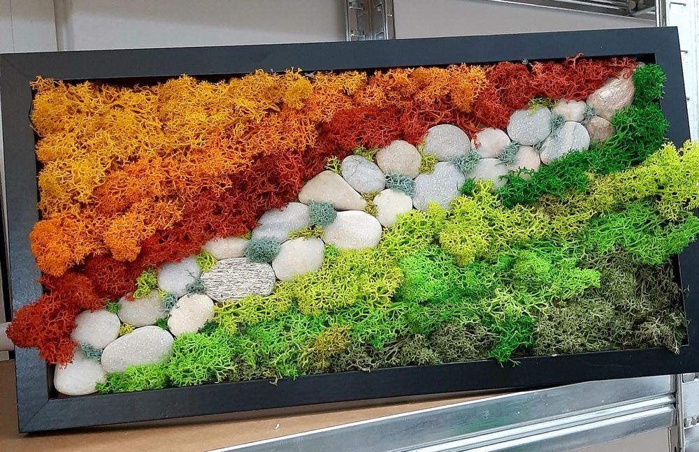 Картини от скандинавски мъх