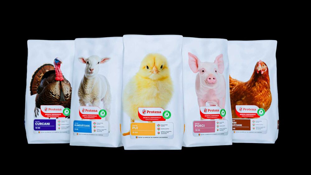 concentrat profesional PURCEI STARTER sac 20 kg