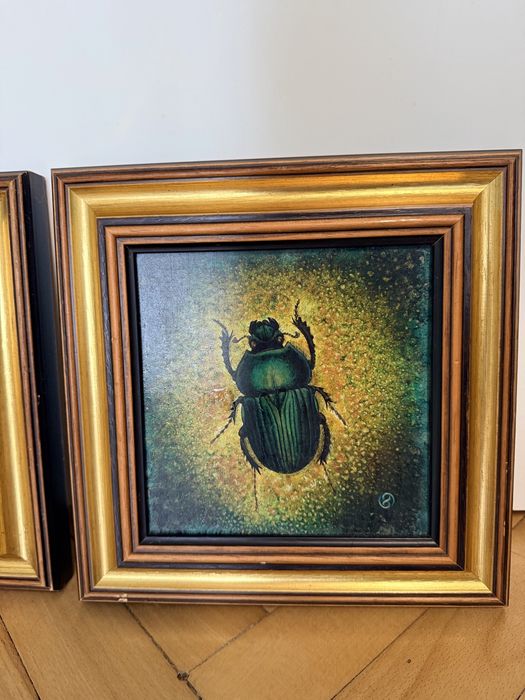 Картини с инсекти