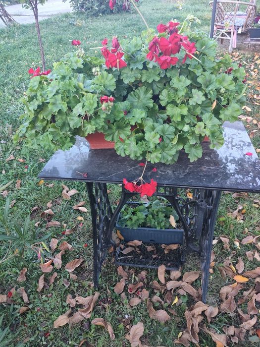 Masă decor grădină