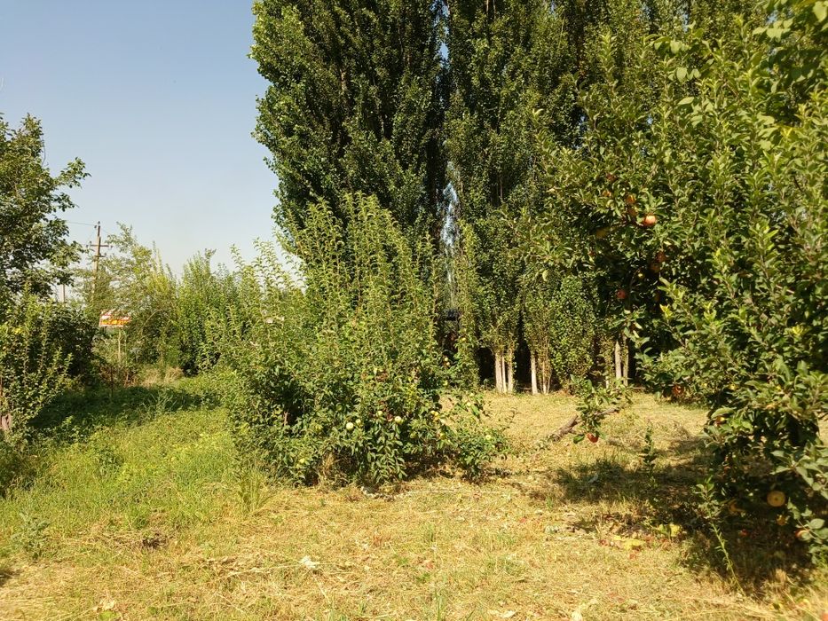 Bo'stonliqda 8sotok yer sotiladi