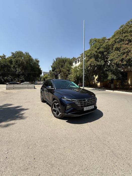 Hyundai  Tucson  2.0  full