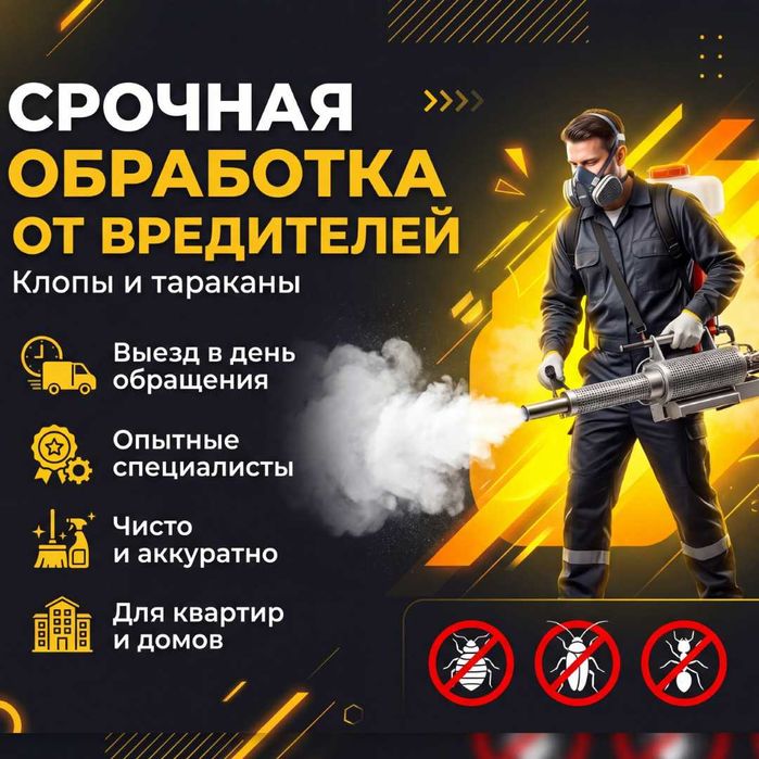 Обработка от насекомых: быстро и безопасно