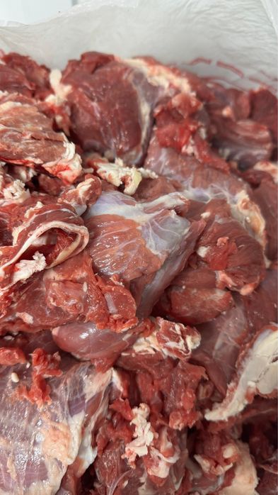 Продам мясо говядины