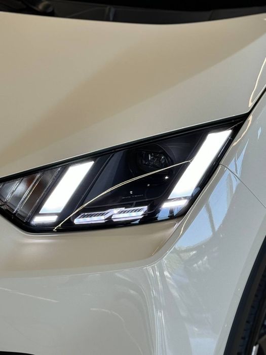 BYD SEAGULL 405 Km Flagship в наличии