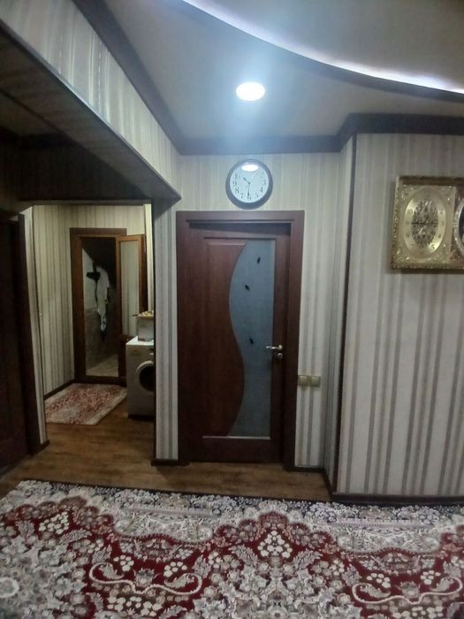 Prodaja IBN Sino Jar Ariq #AAA256