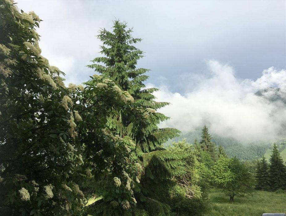 Casă/gospodărie + teren 5.7 ha intravilan Brodina, jud. Suceava