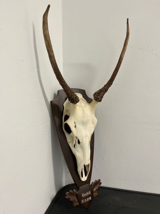 Трофей от шилар, лов и риболов