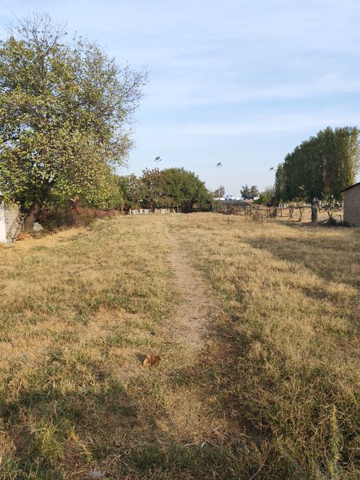 Uchaska Nurafshon. Shahridan