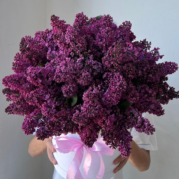 Букет сирени только от 10 тыс