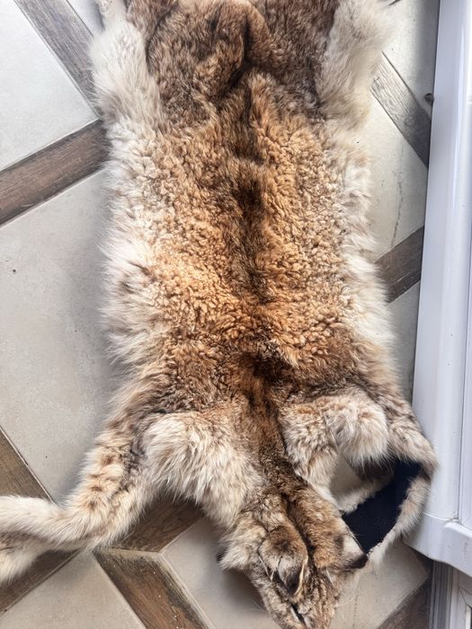 Чучело продам вместе