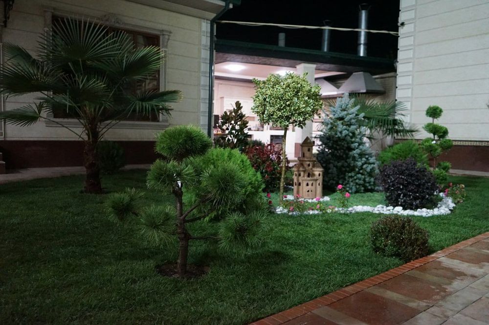 Газон посевной рулонний