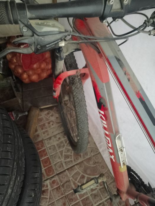 Велик  албуменивий