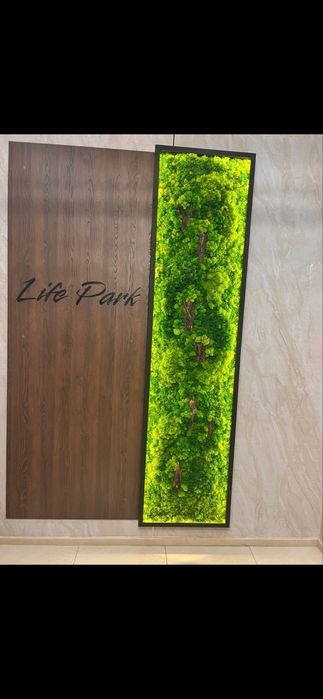 Сдам однокомную квартиру