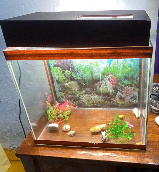 Аквариум 20 литров свет есть