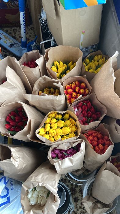 Тюльпаны есть Астана