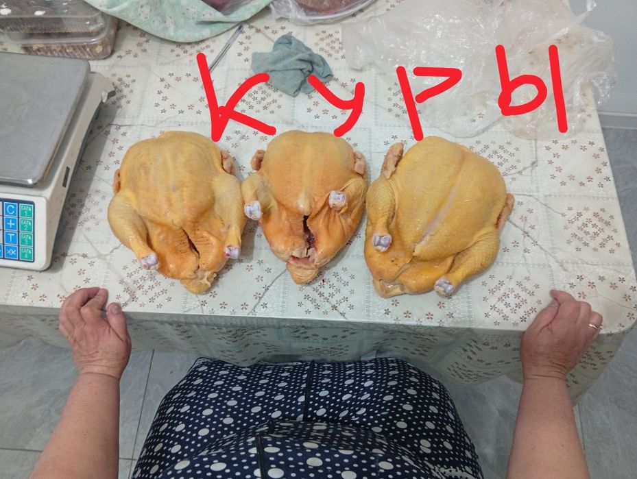 Продам мясо домашней птицы