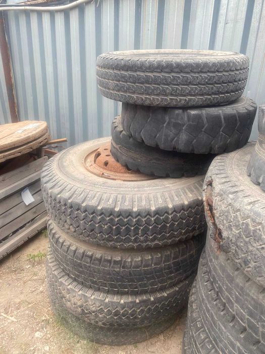 Шина продажа срочно