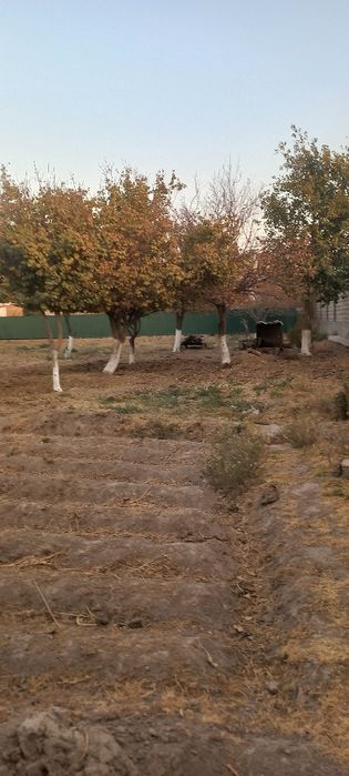 Yer sotiladi kelishamiz