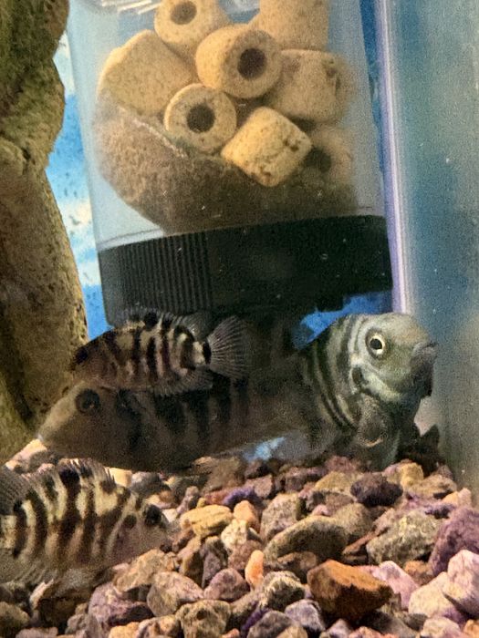 Продам Аквариум на 144 литра