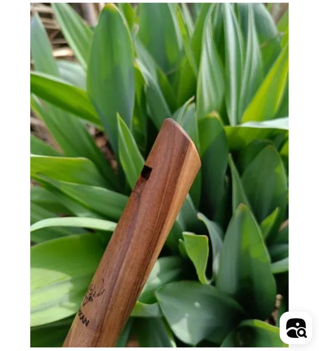 Флейта диатоническая