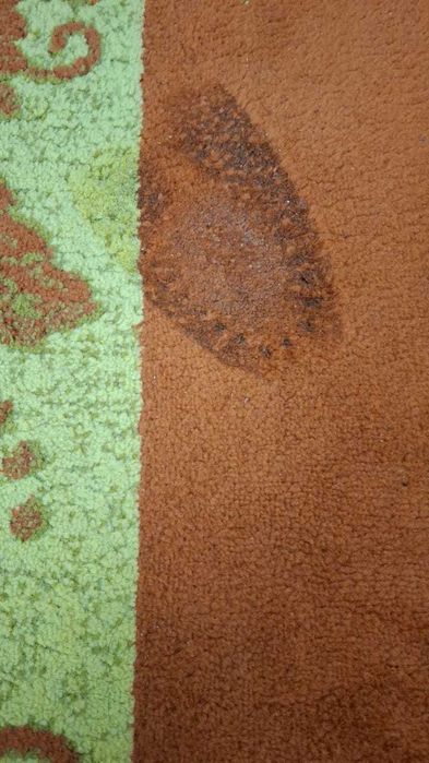 Ковёр 5 000 тг.  3*5 б/у