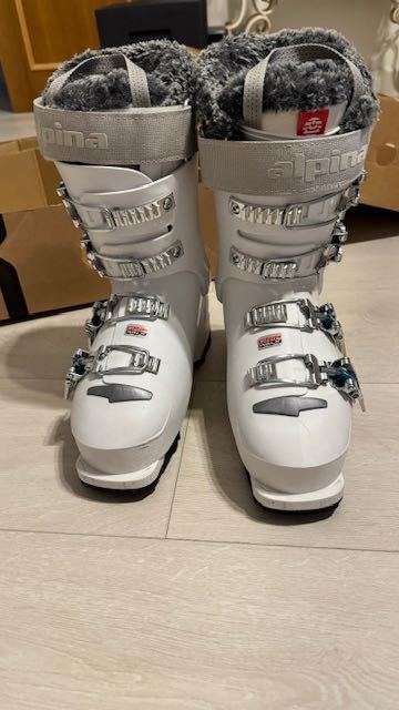 Горнолыжные ботинки