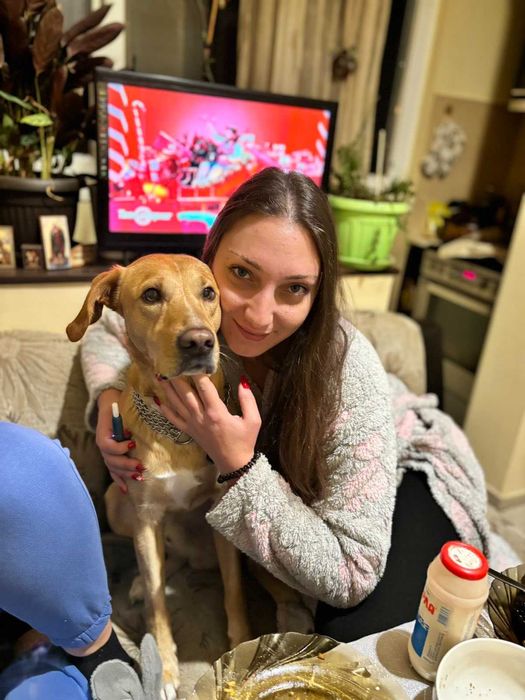 "Хотел" за кучета/гледач/