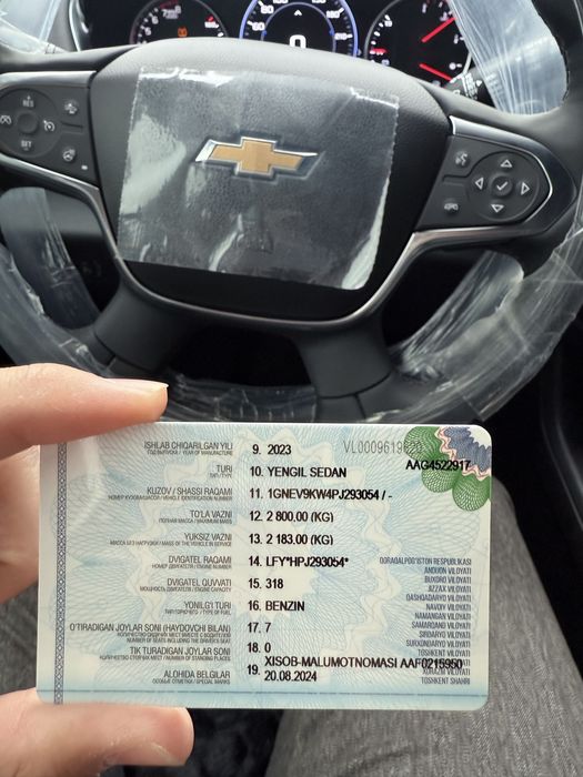 Travers 2024 пачка