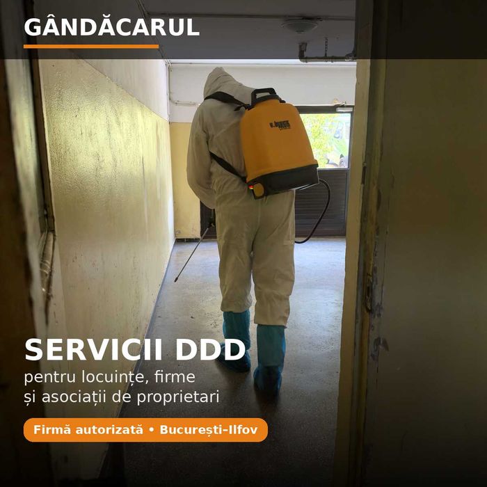 Dezinsecție gândaci București–Ilfov | Intervenție în max. 3 ore, NON-STOP