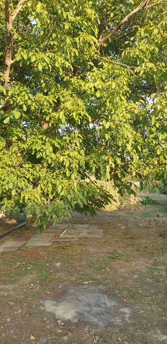 Продам дом в сере ровном