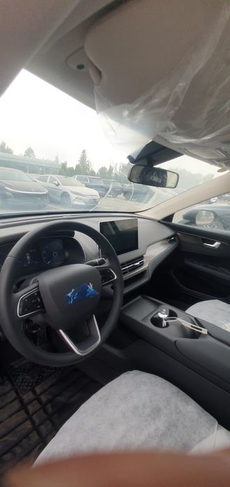 Hongqi e-qm5 610km