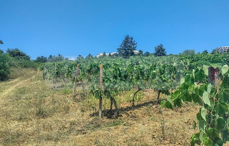 Продава се Парцел в Бяла - 6376 кв.м за 45 €/кв.м - Снимка #3