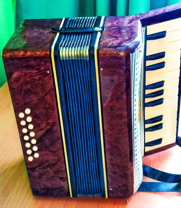 Аккордеон Малыш А-23 # 14-1