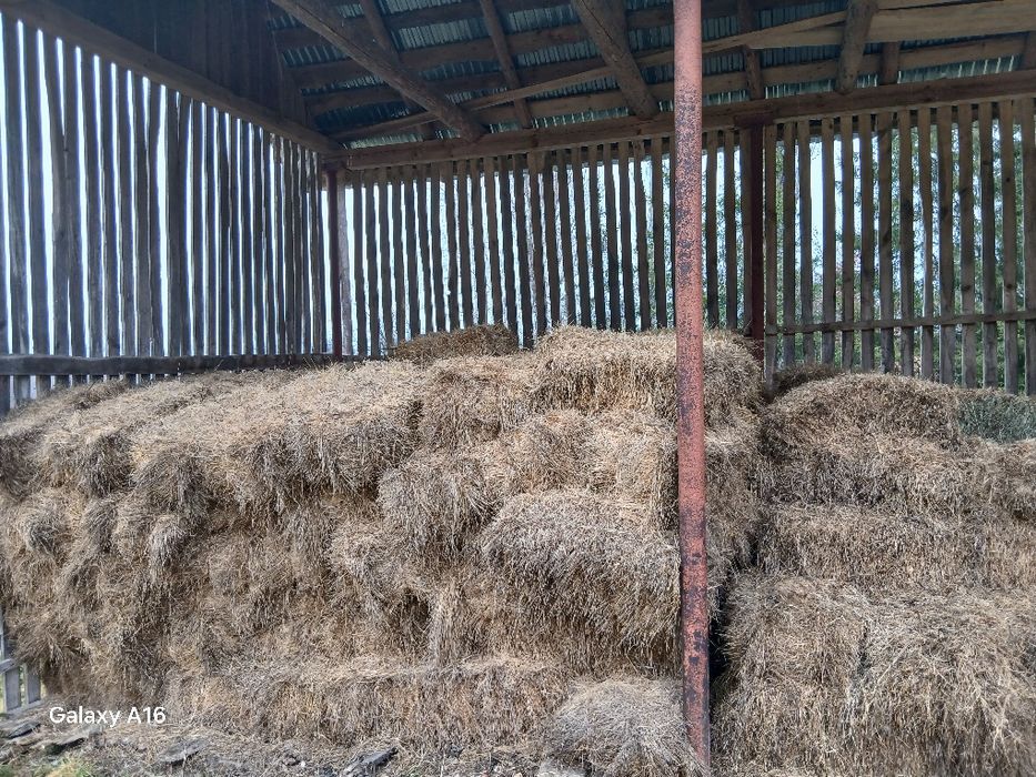 Baloti de fâ si otavă