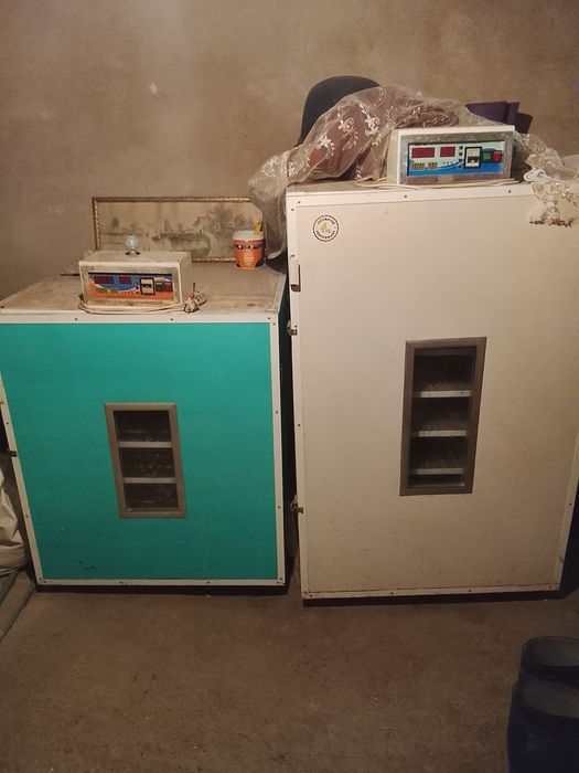 de vânzare incubator