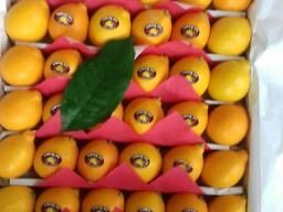 Limon Pokiston va Turkiyaniki