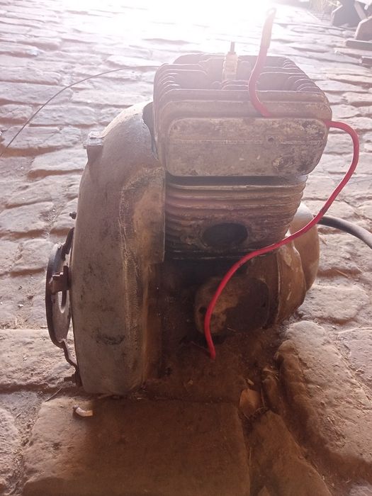 Муравей СССР матарол